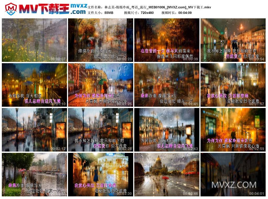 林志美-绵绵冷雨_粤语_流行_MEB01006